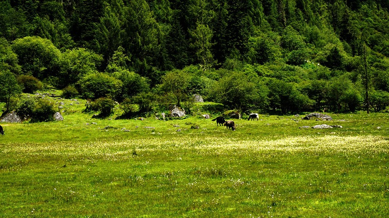 dsc01905_副本.jpg