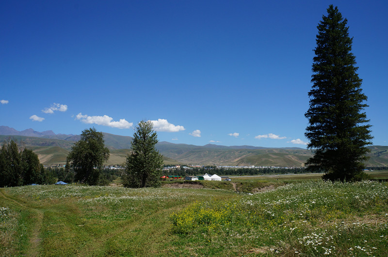 dsc03107_.jpg