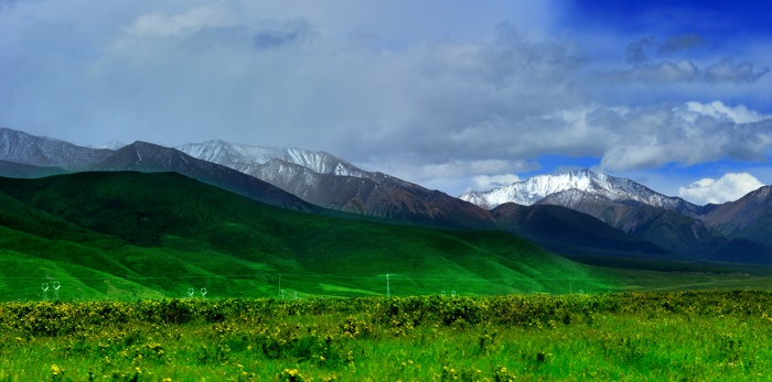 dsc_2452a.jpg