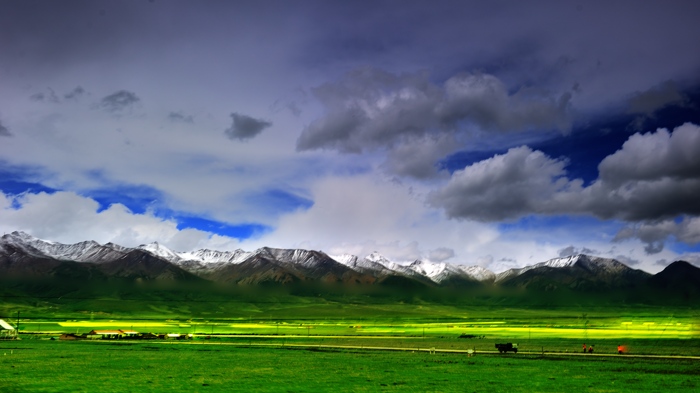 dsc_2478a.jpg