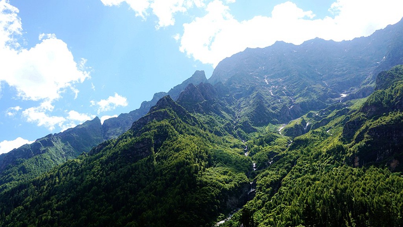 dsc01931_副本.jpg
