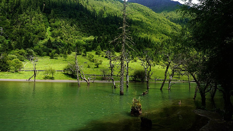 dsc01944_副本.jpg