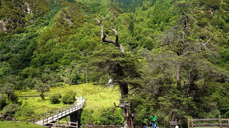 dsc01951_副本.jpg
