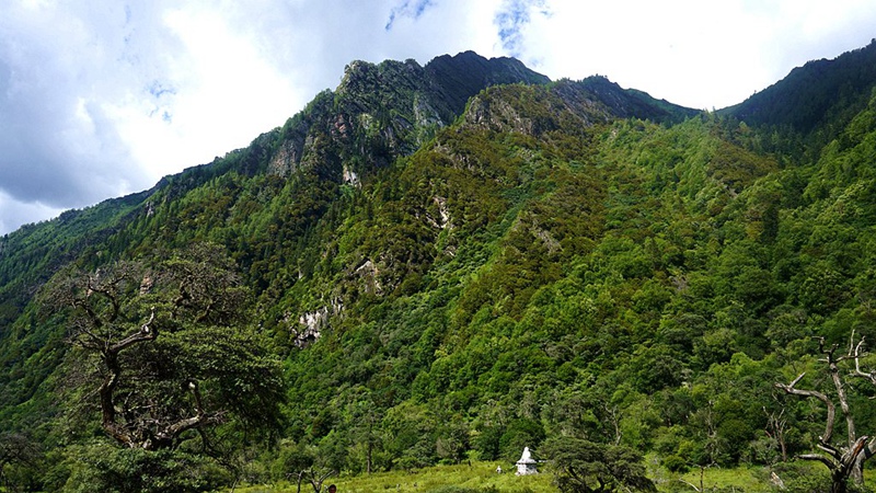dsc01964_副本.jpg