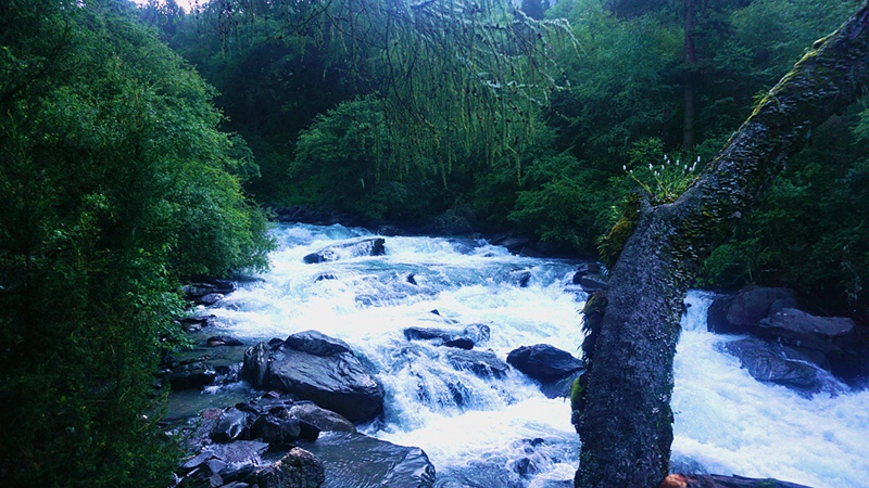 dsc01971_副本.jpg
