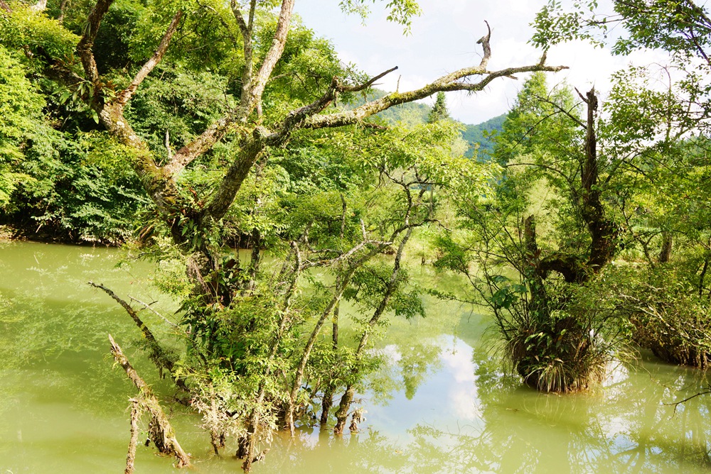 董家河12.jpg