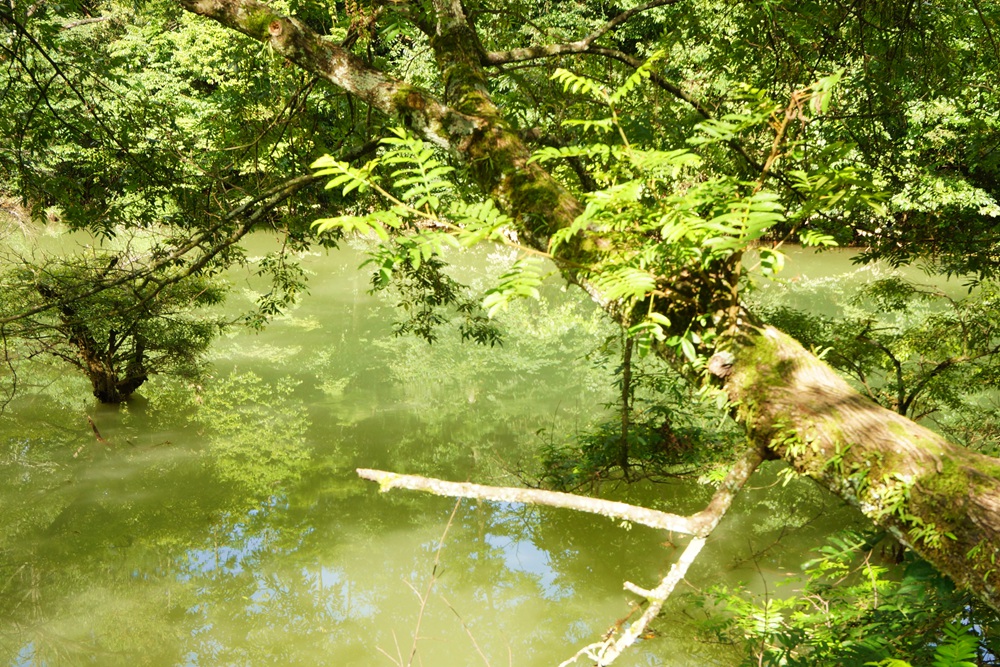 董家河13.jpg