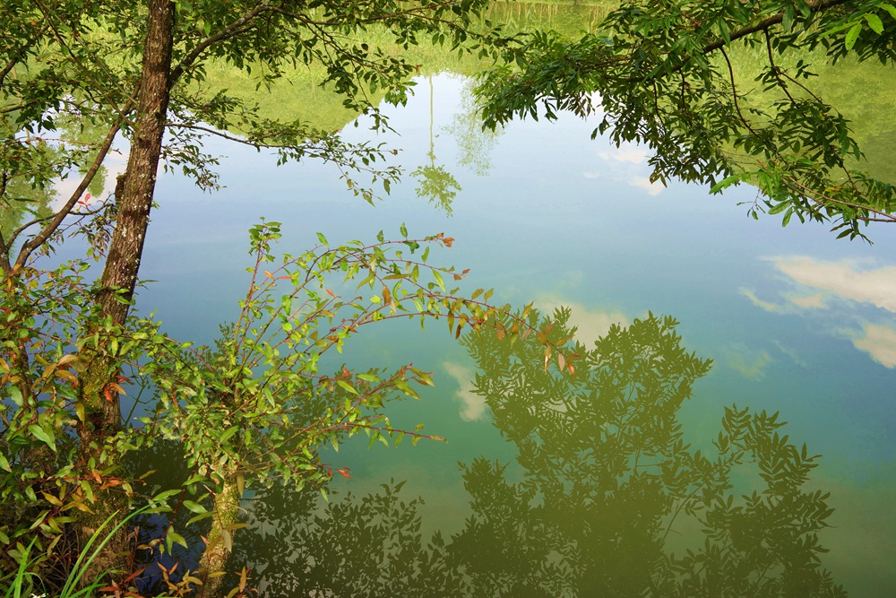 董家河16.jpg