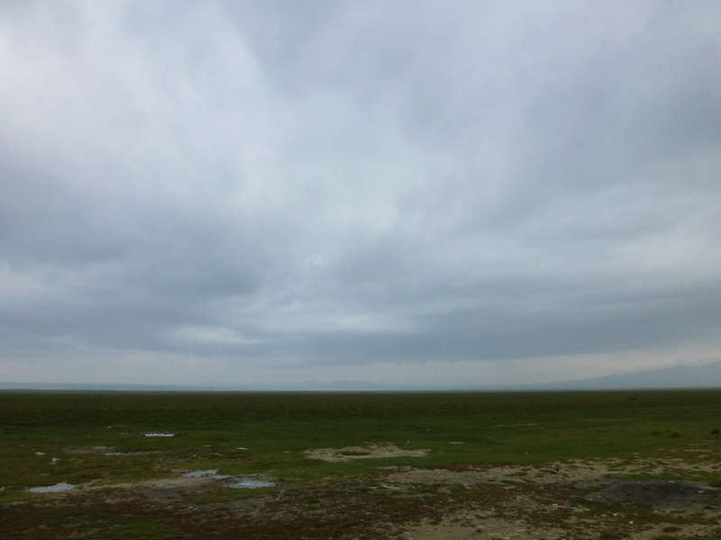 p1240601.jpg