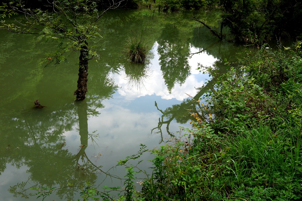 董家河10.jpg