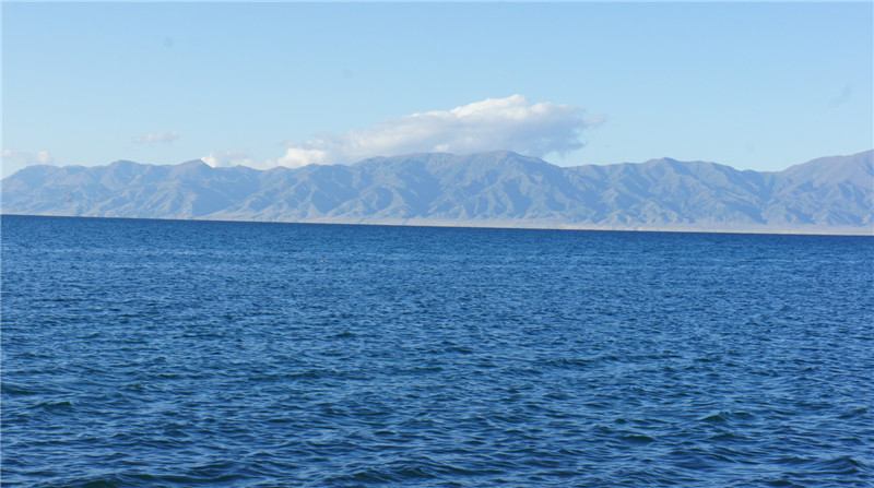 dsc05206.jpg