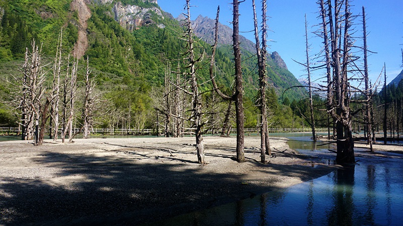 dsc02001_副本.jpg