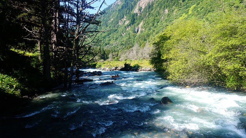 dsc02004_副本.jpg