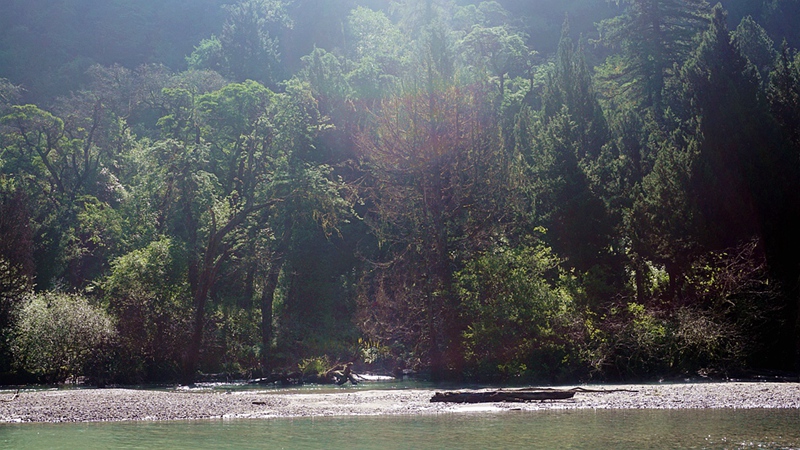 dsc02010_副本.jpg