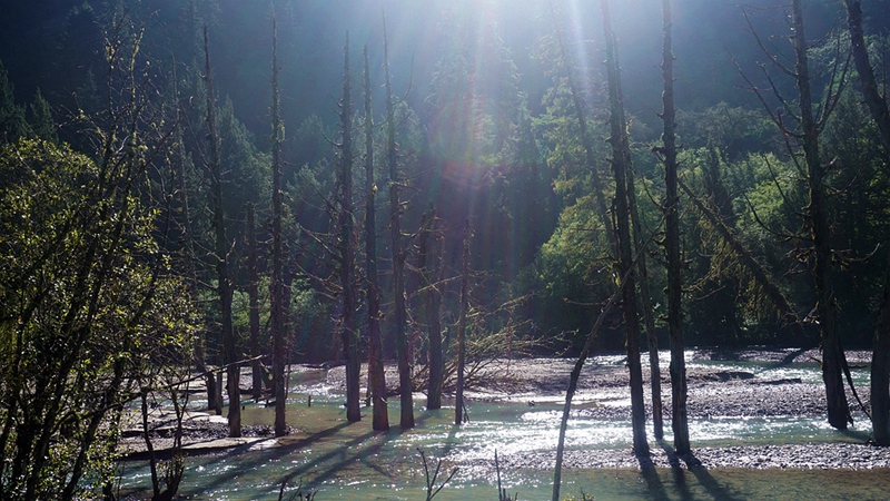 dsc02013_副本.jpg