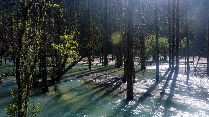 dsc02015_副本.jpg