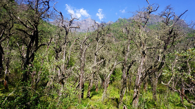 dsc02019_副本.jpg