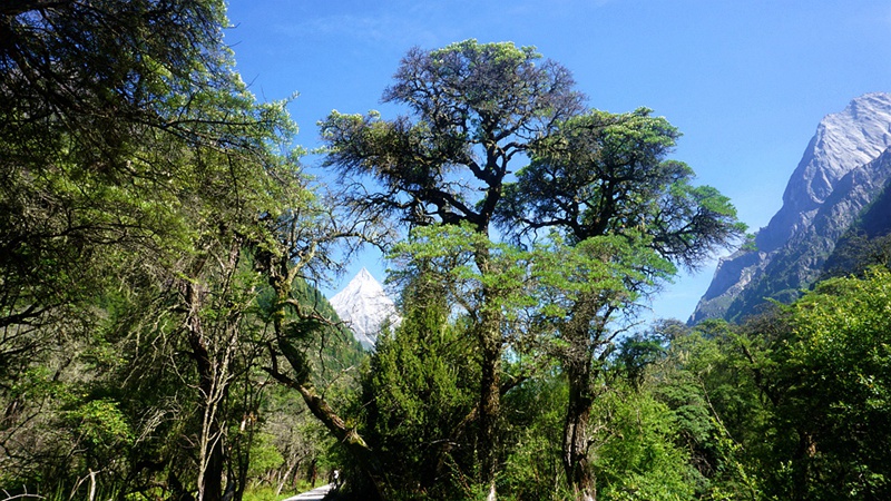dsc02025_副本.jpg