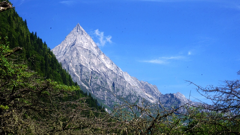 dsc02026_.jpg
