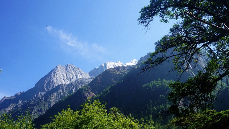 dsc02029_.jpg