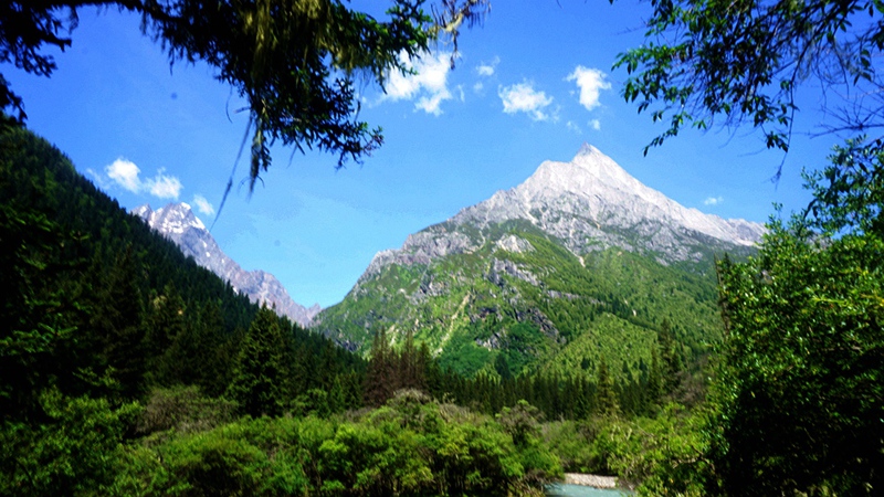dsc02032_.jpg