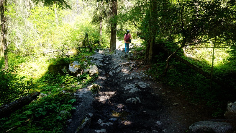 dsc02040_.jpg