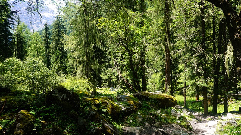 dsc02043_.jpg