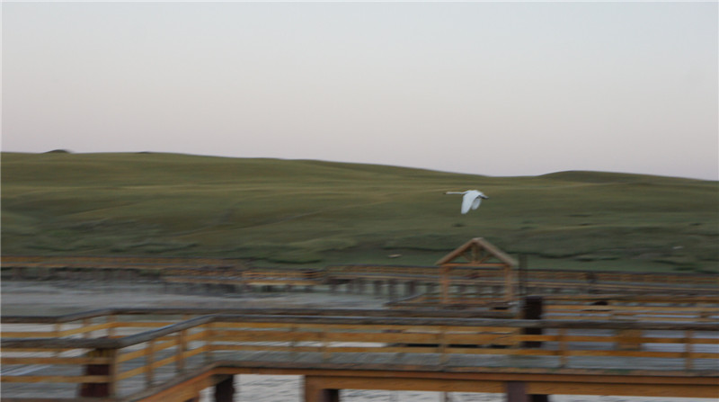 dsc05578_.jpg