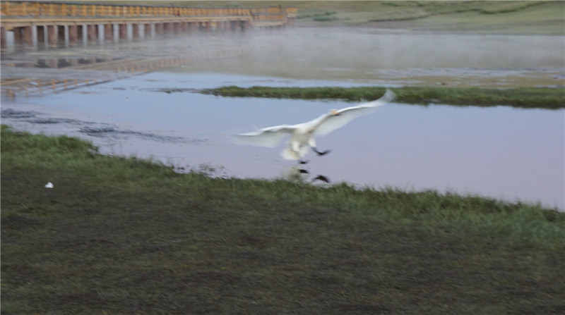 dsc05568_.jpg