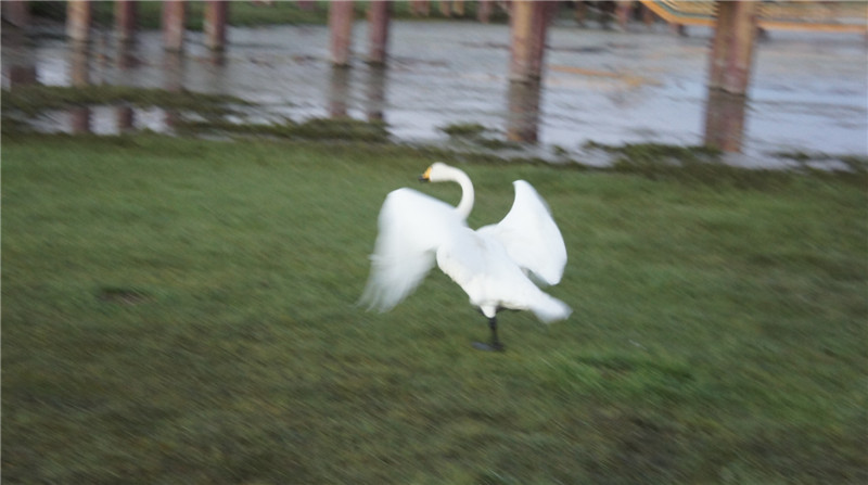 dsc05570_.jpg
