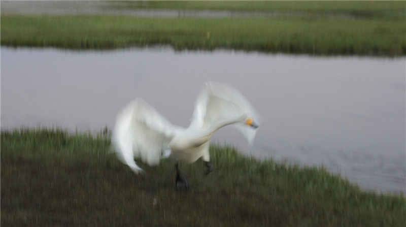 dsc05569_.jpg