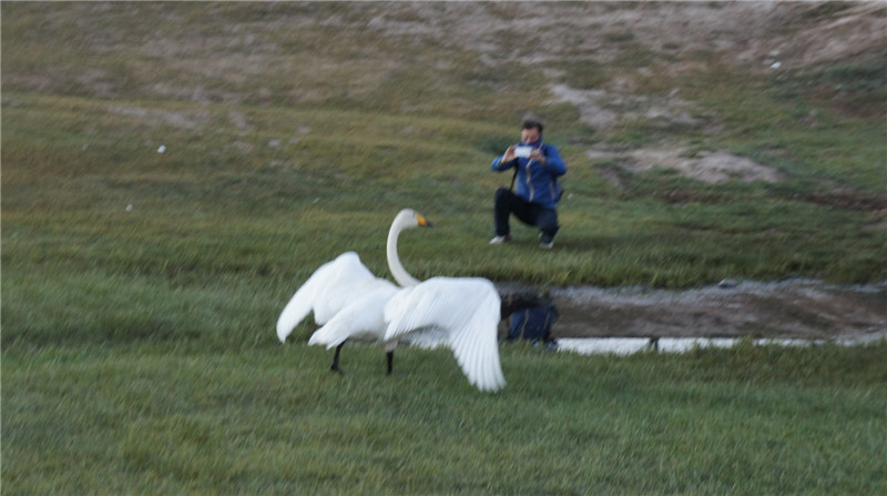 dsc05573_.jpg
