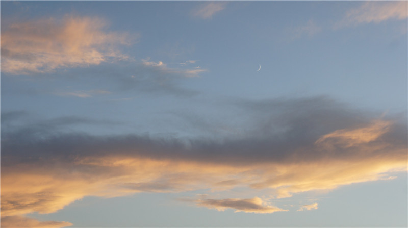 dsc05550.jpg