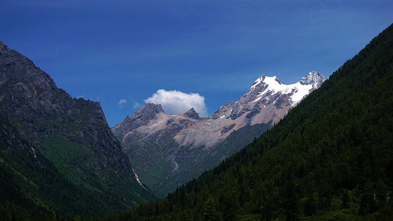 dsc02050_.jpg