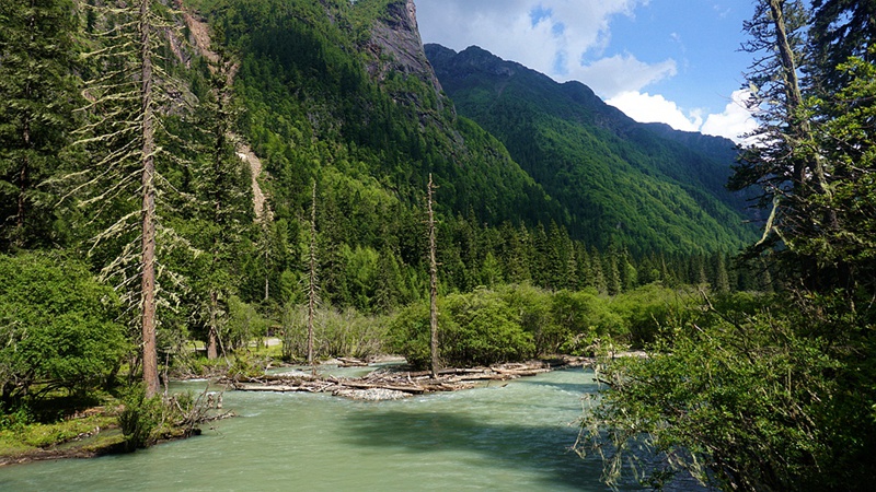 dsc02065_.jpg