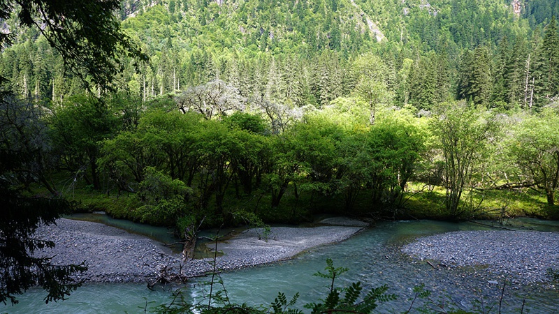 dsc02068_.jpg
