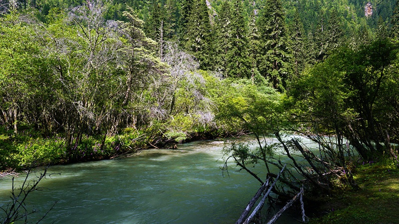 dsc02072_.jpg