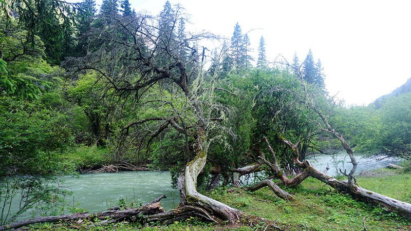 dsc02106_.jpg