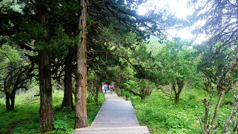 dsc02114_.jpg