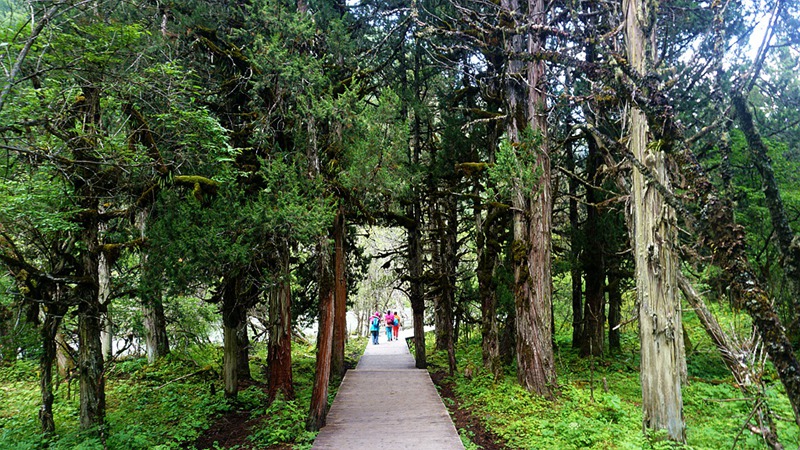 dsc02116_.jpg