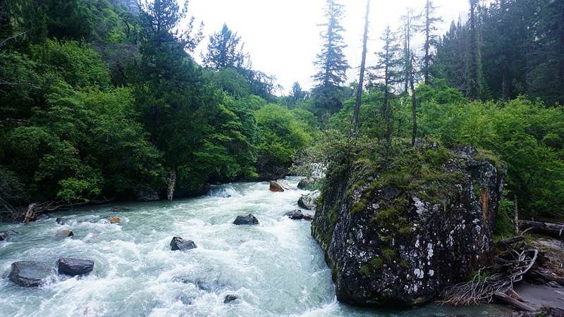 dsc02136_.jpg