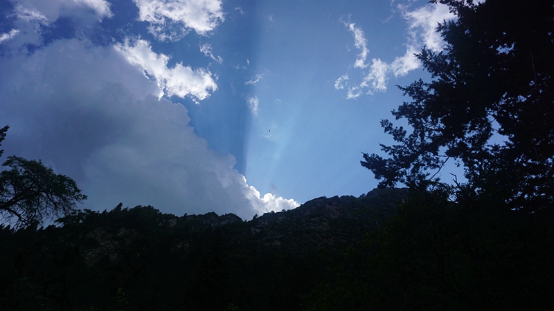dsc02137_.jpg