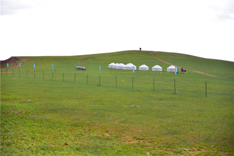 dsc_4003.jpg