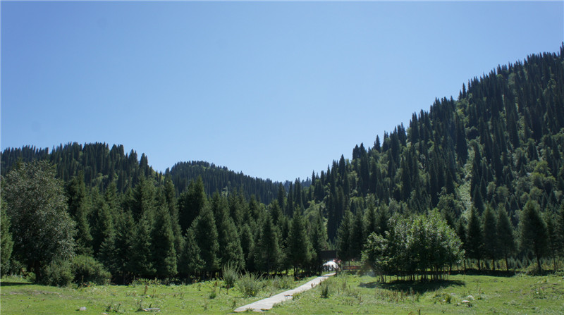 dsc05458.jpg