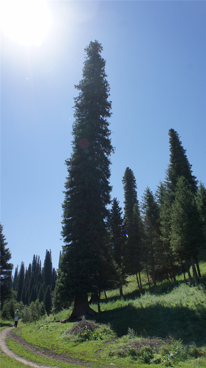 dsc05444_.jpg