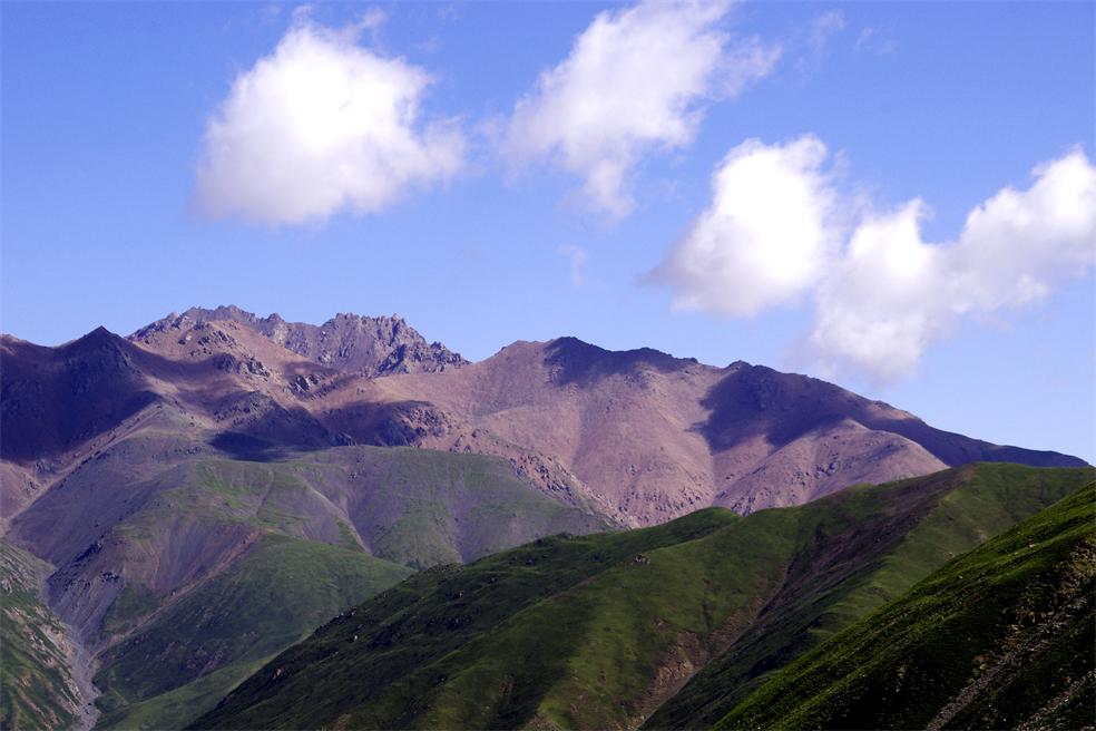 _igp1875_.jpg