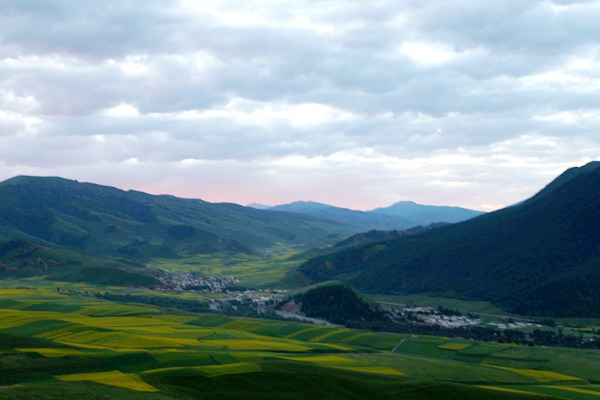 img_2699_副本.jpg