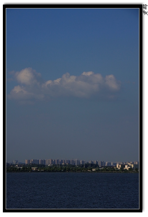 ѷ264.jpg
