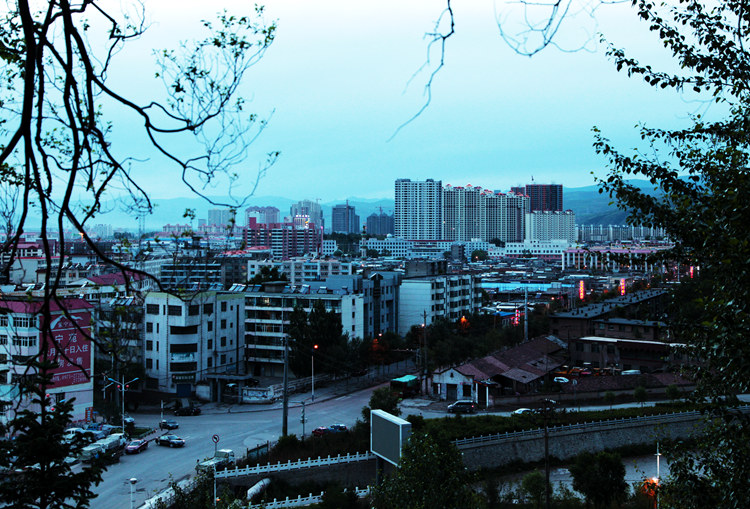 img_1009_副本.jpg