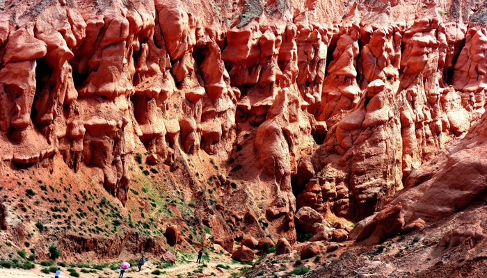 dsc_2723a.jpg